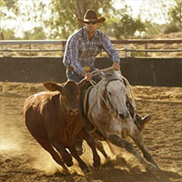 Moranbah Campdrafting Association